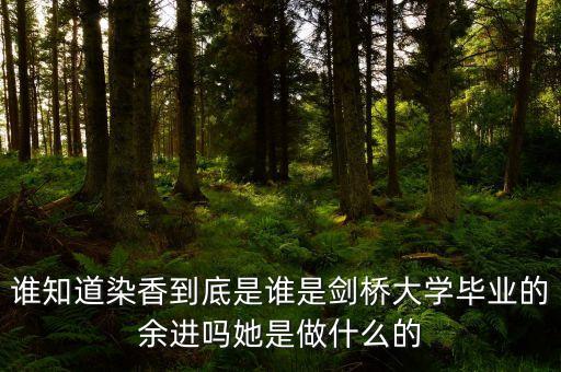 麥肯錫合伙人是什么，誰知道染香到底是誰是劍橋大學畢業(yè)的余進嗎她是做什么的