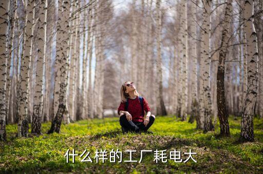 什么加工業(yè)費(fèi)電，什么樣的工廠耗電大