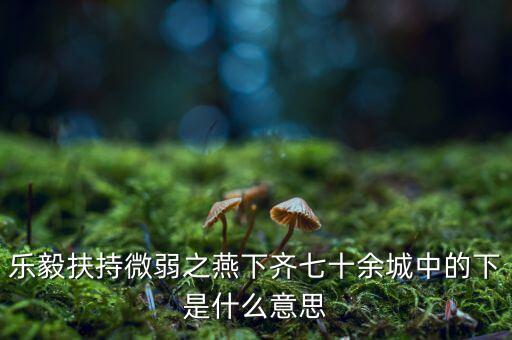 什么是進口替代戰(zhàn)略，樂毅扶持微弱之燕下齊七十余城中的下是什么意思
