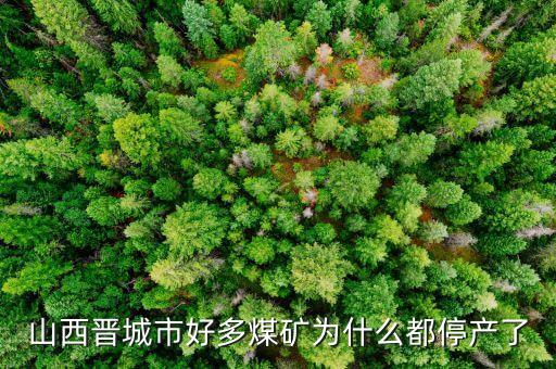 為什么礦山現(xiàn)在停產(chǎn)，為什么現(xiàn)在的礦業(yè)幾乎全部停產(chǎn)