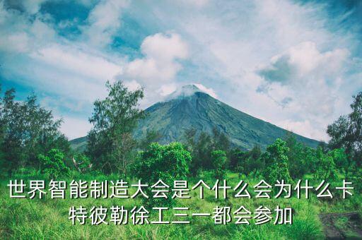 卡特彼勒為什么，卡特重工和卡特彼特有什么區(qū)別