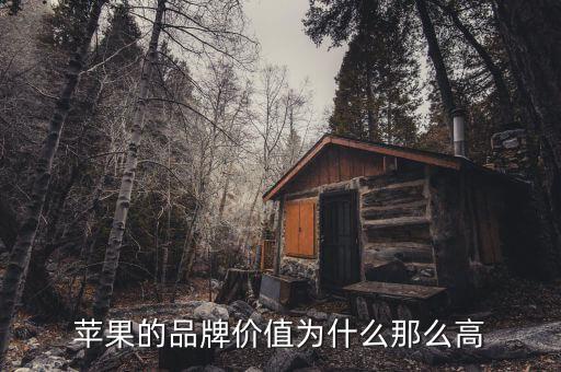 蘋果市值為什么那么高，蘋果的品牌價值為什么那么高