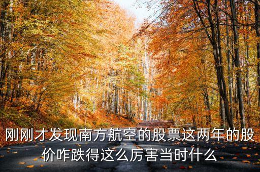 南航美股是什么意識(shí)，海南航空股票前帶lr300什么意思