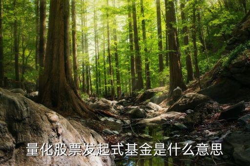 股票量化是什么意思，股份量化是什么意思