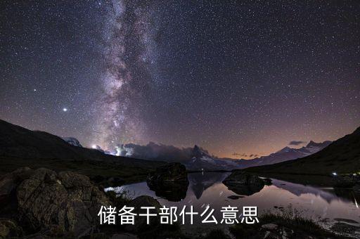 溫州金龍機(jī)電儲(chǔ)備干部什么意思，儲(chǔ)備干部什么意思