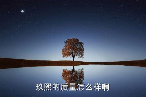 玖熙鞋子屬于什么檔次，玖熙的鞋子怎么樣 NINE WEST