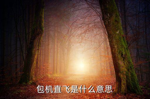 什么是包機(jī)航班，包機(jī)直飛是什么意思
