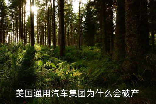 美國汽車巨頭為什么虧本，美國通用汽車集團為什么會破產(chǎn)