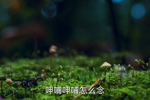 呷哺什么意思，呷哺呷哺怎么念