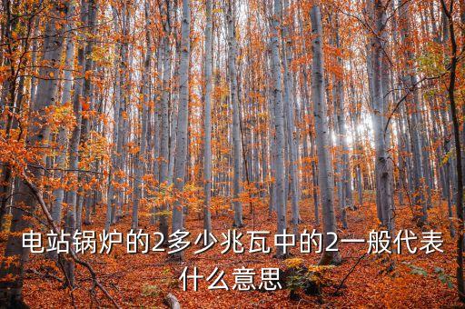 電站兆瓦什么意思，兆瓦是哪一個(gè)物理量的單位發(fā)電能力達(dá)45兆瓦說明什么意思