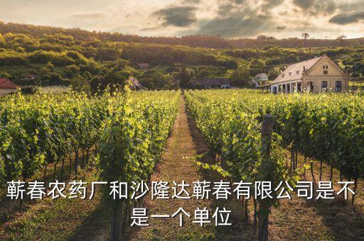 蘄春汪潮涌投資了什么，蘄春農(nóng)藥廠和沙隆達蘄春有限公司是不是一個單位