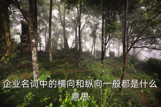 什么是企業(yè)橫向發(fā)展，什么是橫向一體化