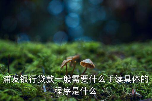 浦發(fā)銀行網(wǎng)貸通要什么條件，TB支持浦發(fā)  浦發(fā)開通網(wǎng)銀要什么條件比如要帶點(diǎn)什么的