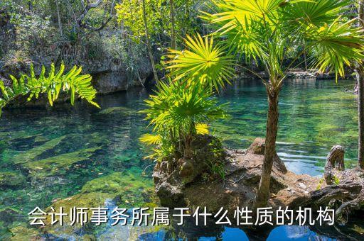 鄭商所期衍所屬于什么性質(zhì)，會計師事務(wù)所屬于什么性質(zhì)的機(jī)構(gòu)