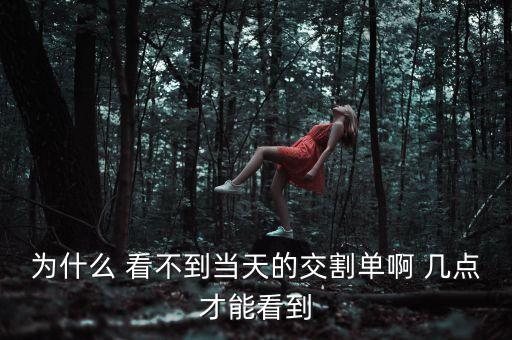 股票交割單什么時候可以查，國泰君安交易當晚幾點可以看到交割單信息