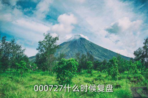 諾普信什么時候復盤，000727什么時候復盤