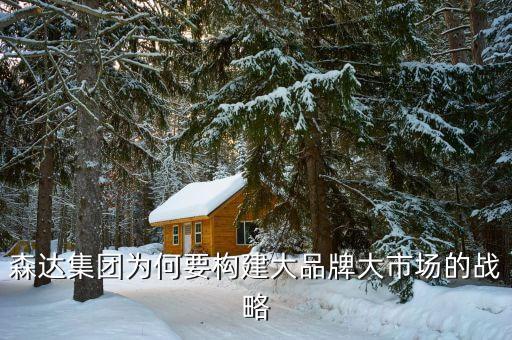 森達(dá)集團為何要構(gòu)建大品牌大市場的戰(zhàn)略