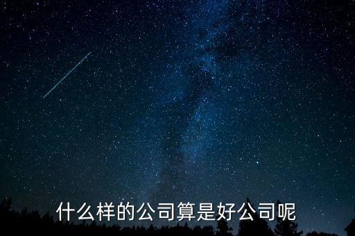 什么樣的公司是比較好的，有什么樣的公司是比較好的