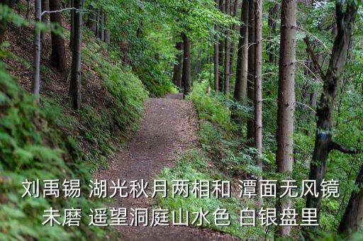 君山股份是做什么，劉禹錫 湖光秋月兩相和 潭面無風(fēng)鏡未磨 遙望洞庭山水色 白銀盤里