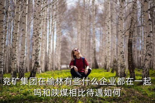 兗州煤業(yè)公司經(jīng)營(yíng)什么，兗礦集團(tuán)在榆林有些什么企業(yè)都在一起嗎和陜煤相比待遇如何