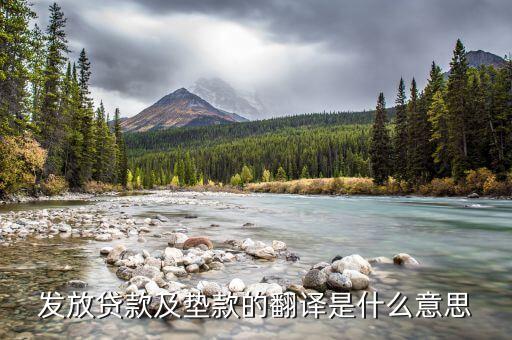 什么是發(fā)放貸款及墊款，loans and advances to customers是什么意思