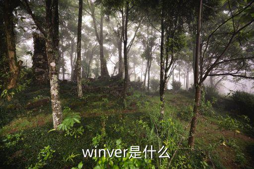什么是出口導(dǎo)向戰(zhàn)略，相符交單是什么
