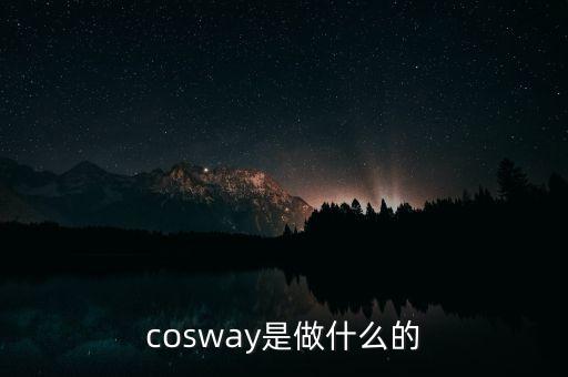 普路通是做什么的，cosway是做什么的