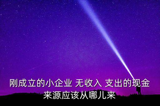 小企業(yè)主為什么沒(méi)現(xiàn)金，剛成立的小企業(yè) 無(wú)收入 支出的現(xiàn)金來(lái)源應(yīng)該從哪兒來(lái)