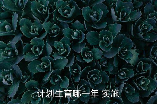 計劃生育哪一年 實(shí)施