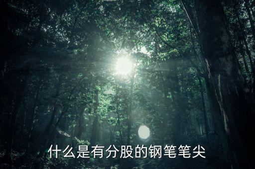 鋼筆頭分股是什么樣的，什么是有分股的鋼筆筆尖