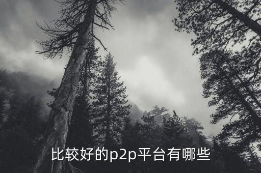 什么p2p平臺比較靠譜，請問國內(nèi)P2P平臺哪家比較安全可靠點(diǎn)想了解下