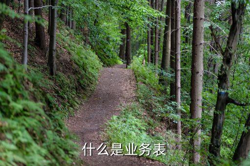 什么叫出表業(yè)務，什么是業(yè)務表