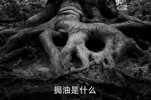 粵油是什么，輕質(zhì)油在炒原油里的什么油比如什么大連油粵油