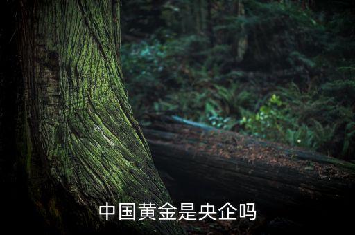 中國(guó)黃金為什么是央企品牌，中國(guó)黃金在各城市的店鋪是中國(guó)黃金直營(yíng)的還是加盟的如果是直營(yíng)