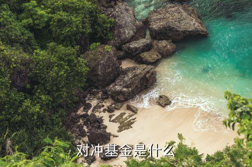 對(duì)沖基金是做什么的，對(duì)沖基金到底是什么用最簡(jiǎn)單的話說(shuō)