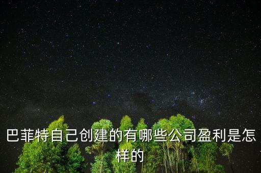 巴菲特是想收購(gòu)中國(guó)的什么公司，巴菲特自己創(chuàng)建的有哪些公司盈利是怎樣的