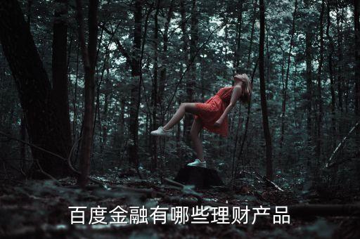 百度有什么理財(cái)產(chǎn)品，百度金融有哪些理財(cái)產(chǎn)品