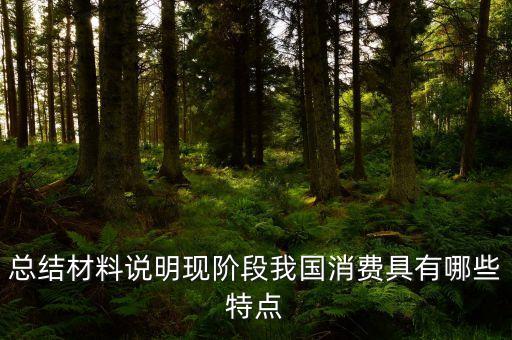 從材料的數(shù)據(jù)中反映了當(dāng)前消費的什么特點，總結(jié)材料說明現(xiàn)階段我國消費具有哪些特點