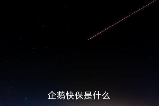 快保保險是什么公司，企鵝快保是什么