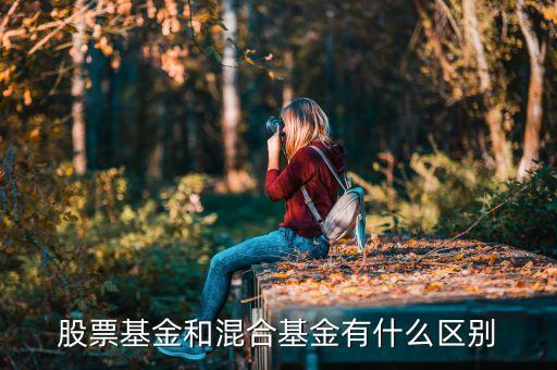 混合基金和股票基金有什么區(qū)別，混合基金和股票基金的區(qū)別在哪