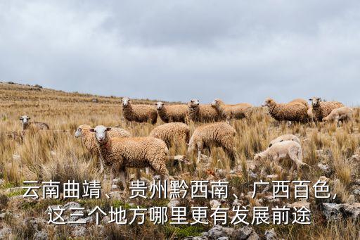 云南曲靖、 貴州黔西南、廣西百色,這三個(gè)地方哪里更有發(fā)展前途