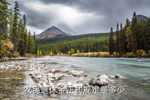 上海 新農(nóng)?；A(chǔ)養(yǎng)老金,上海新農(nóng)保基礎(chǔ)養(yǎng)老金2023年