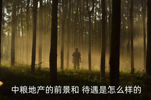  中糧地產的前景和 待遇是怎么樣的