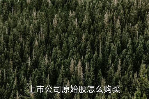 上市公司原始股怎么購(gòu)買