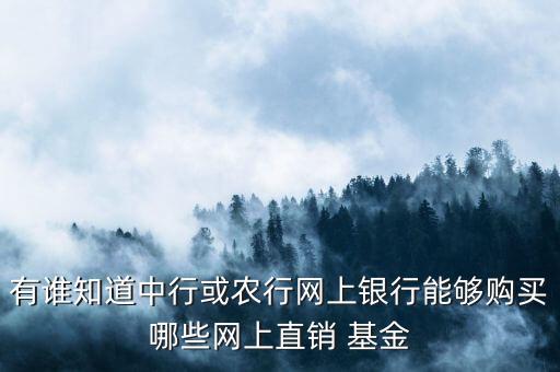 有誰(shuí)知道中行或農(nóng)行網(wǎng)上銀行能夠購(gòu)買(mǎi)哪些網(wǎng)上直銷(xiāo) 基金