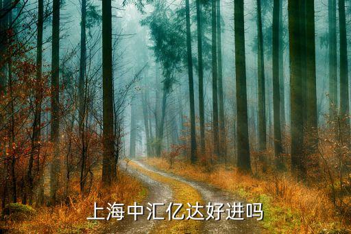 上海中匯億達(dá)好進嗎