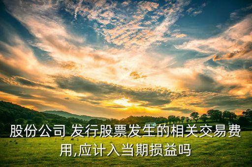 發(fā)行股票凍結(jié)期間的利息收入,公司發(fā)行股票凍結(jié)期間所產(chǎn)生的利息收入應