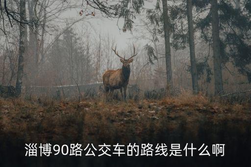 淄博90路公交車(chē)的路線是什么啊
