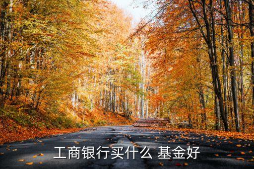 工商銀行買(mǎi)什么 基金好