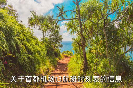 關(guān)于首都機(jī)場t3航班時(shí)刻表的信息